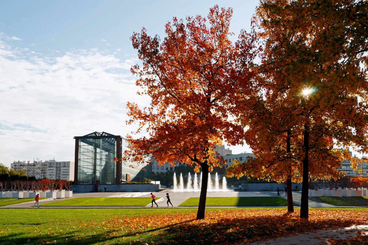 Antiquaire dans le département Paris