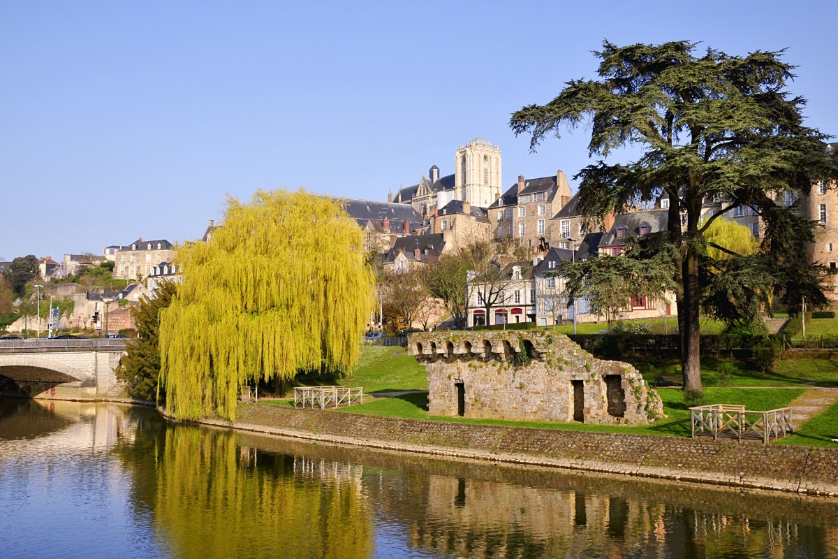 Antiquaire dans le département Sarthe