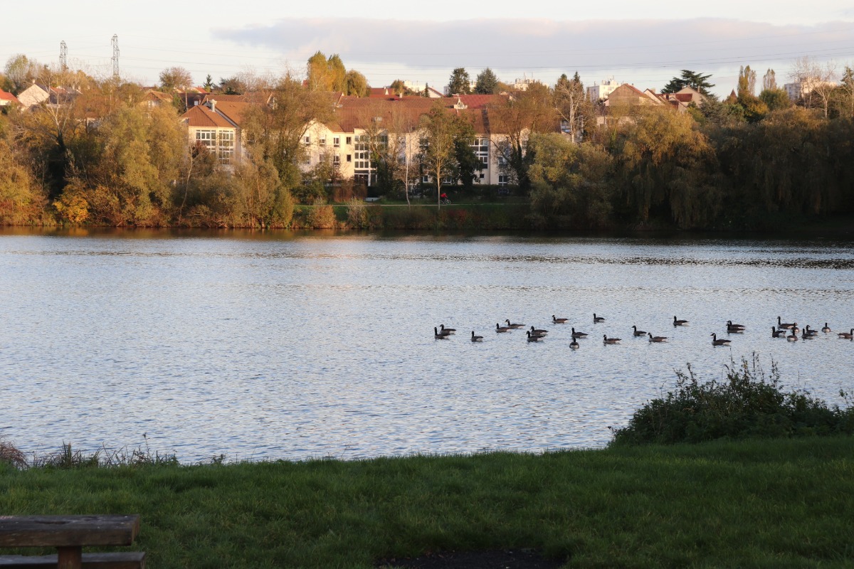Antiquaire à Brétigny-sur-Orge