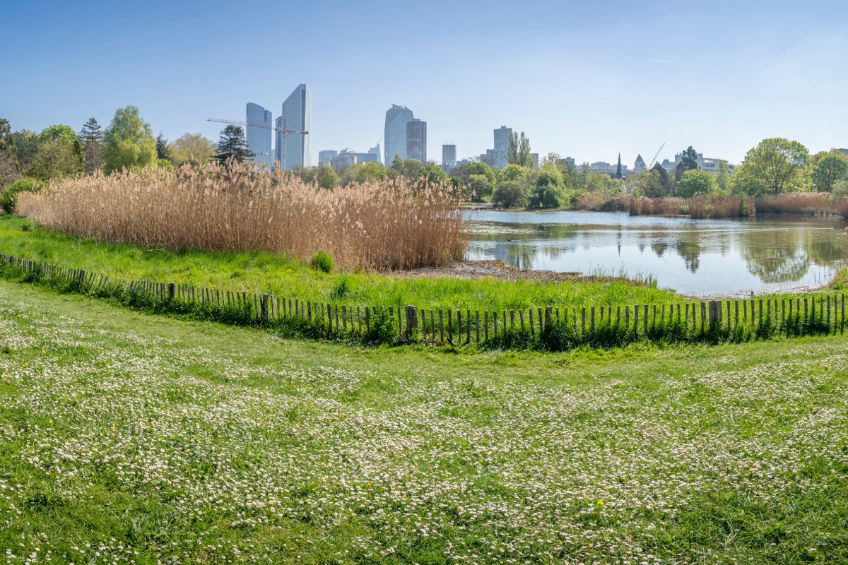 Antiquaire à Châtillon