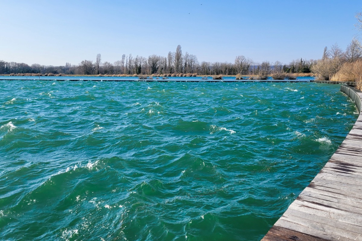 Antiquaire à Décines-Charpieu