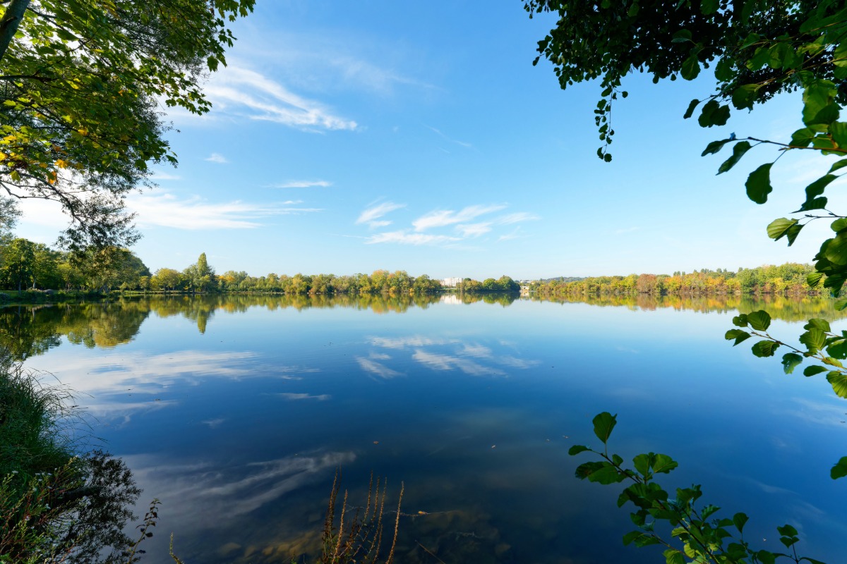 Antiquaire à Draveil