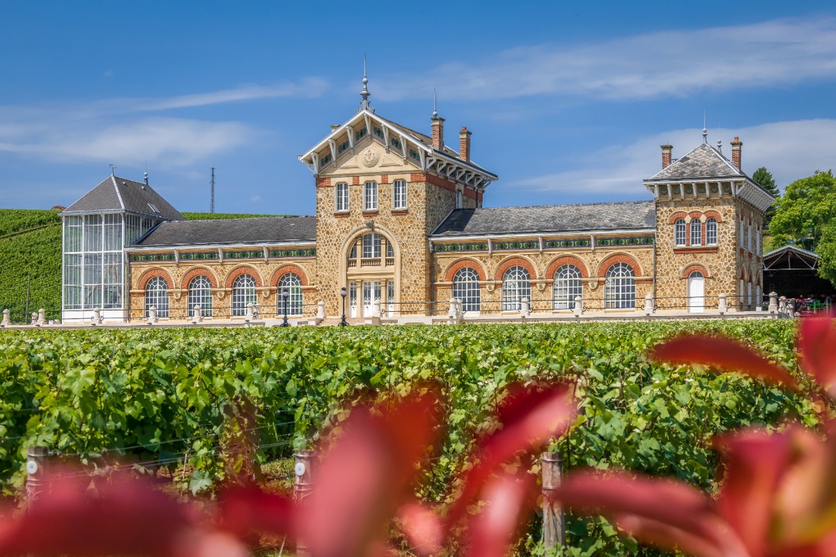 Antiquaire à Épernay