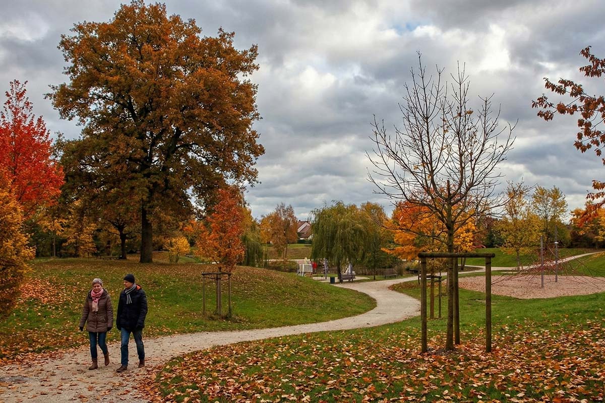 Antiquaire à Fleury-les-Aubrais