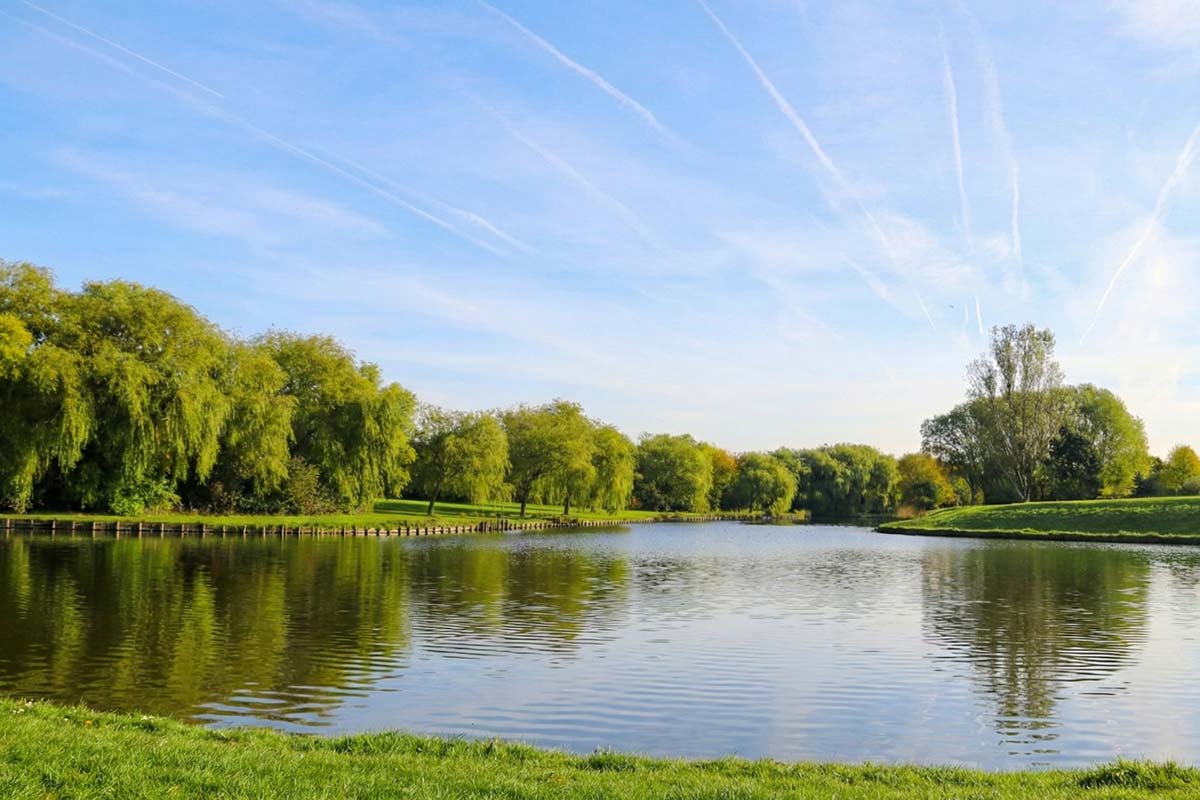 Antiquaire à Grande-Synthe