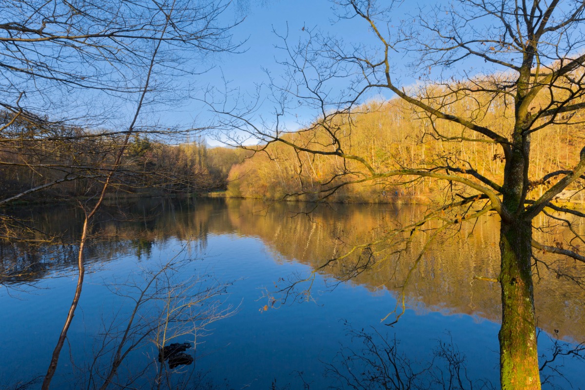 Antiquaire à Guyancourt