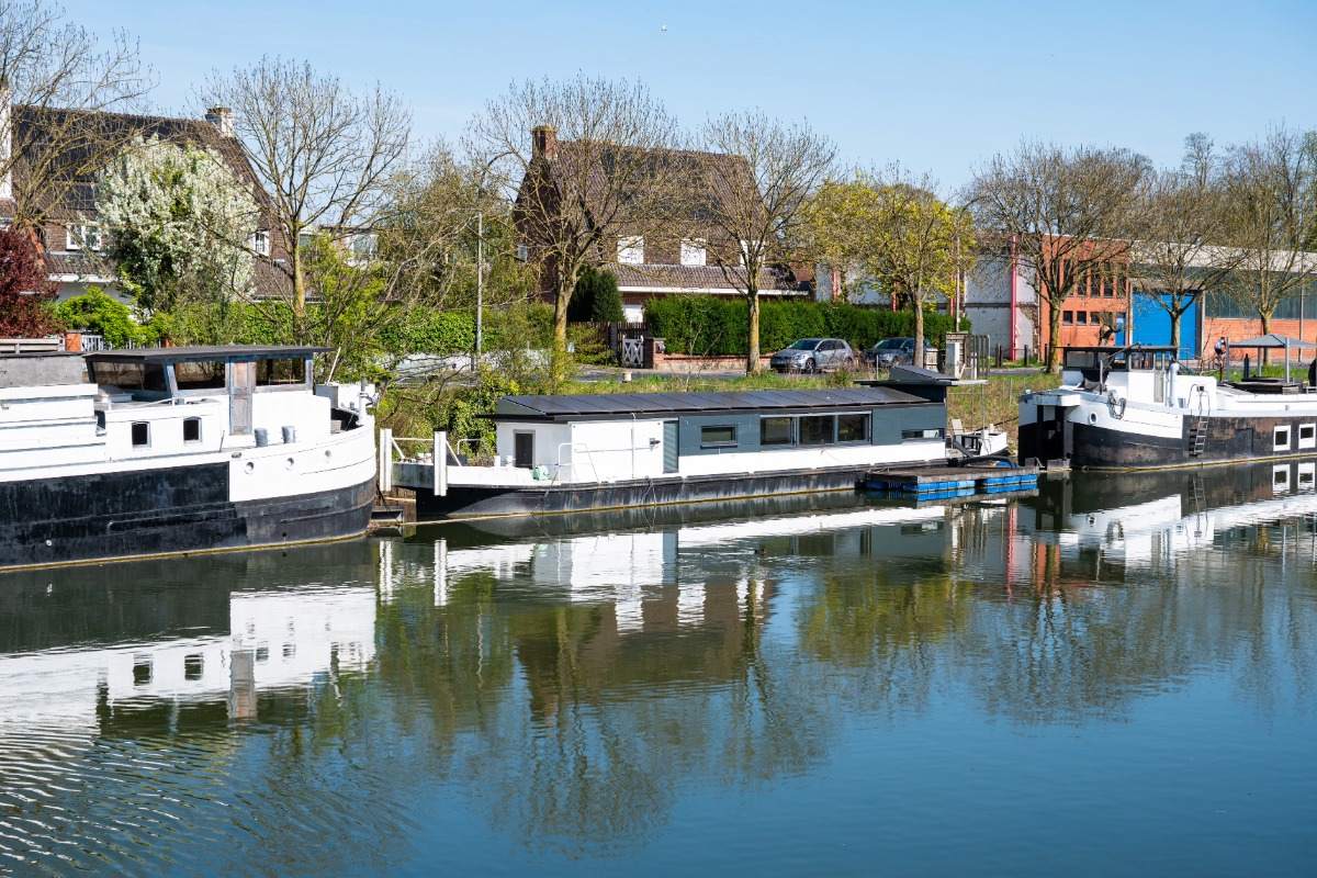 Antiquaire à Halluin