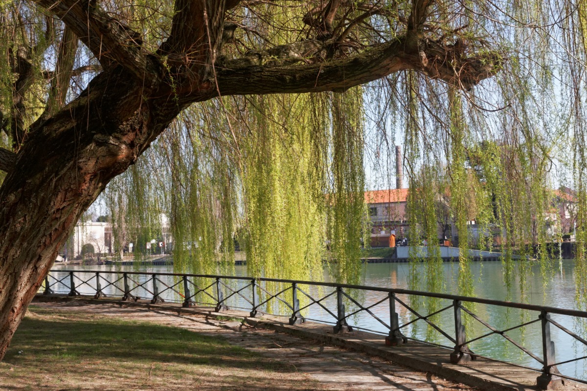 Antiquaire à Joinville-le-Pont