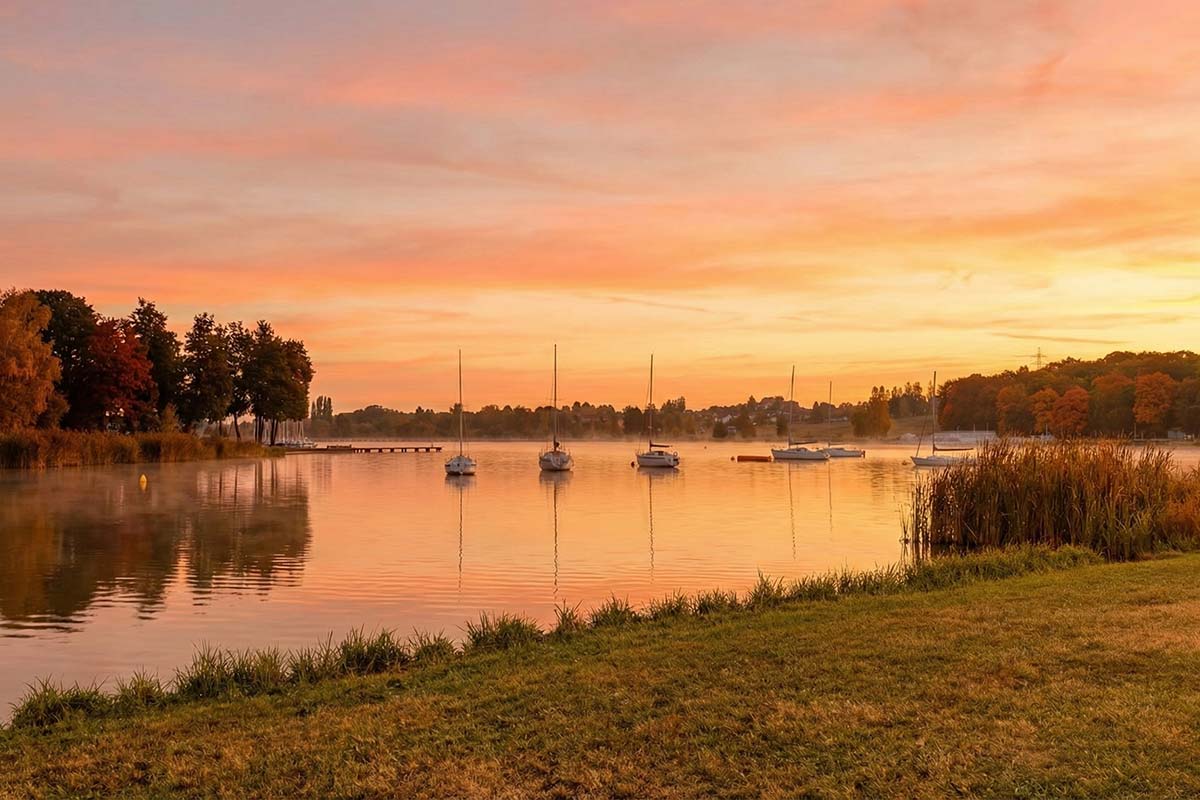 Antiquaire à Joué-lès-Tours