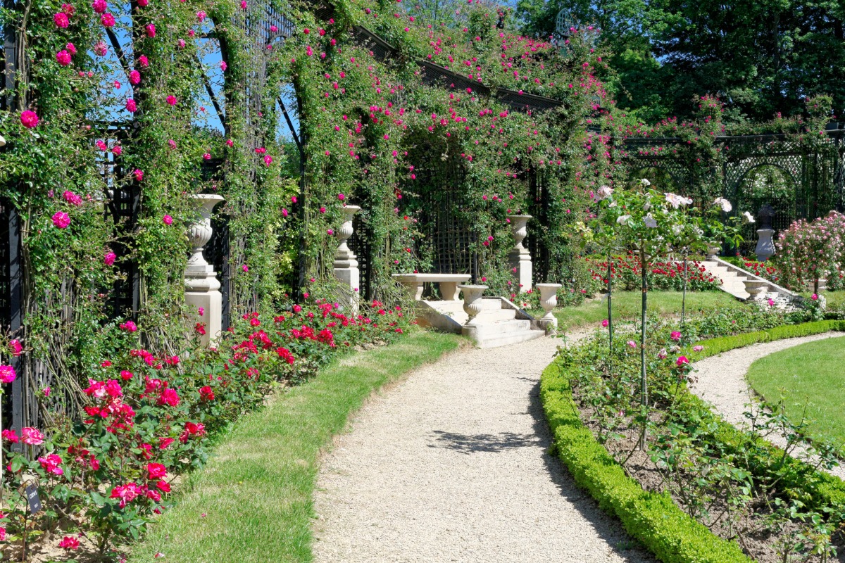 Antiquaire à L'Haÿ-les-Roses