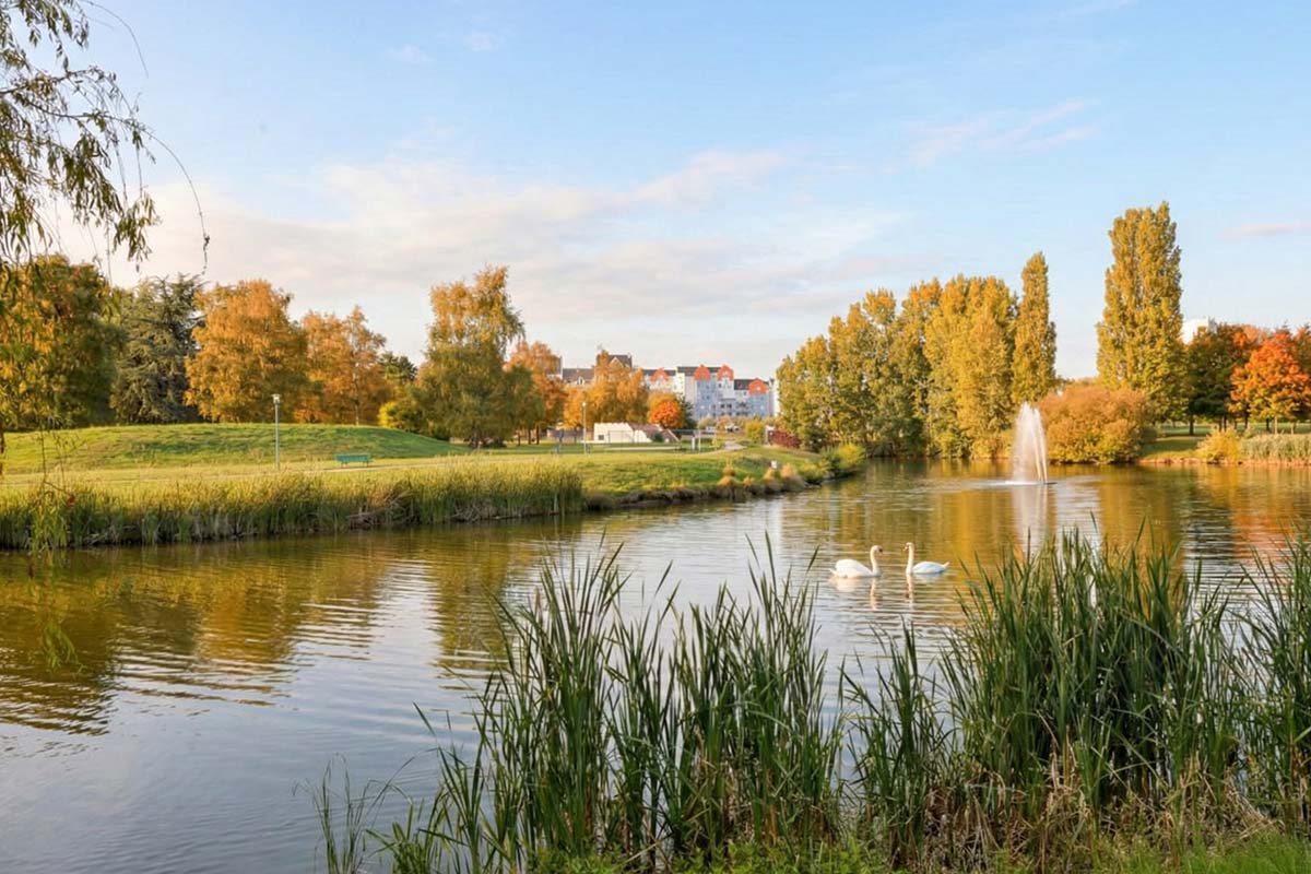 Antiquaire à Le Mée-sur-Seine