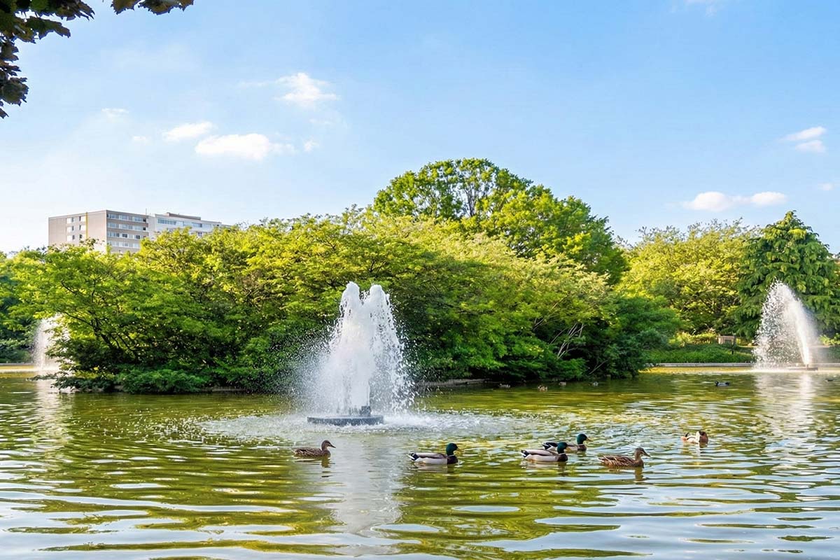 Antiquaire à Malakoff