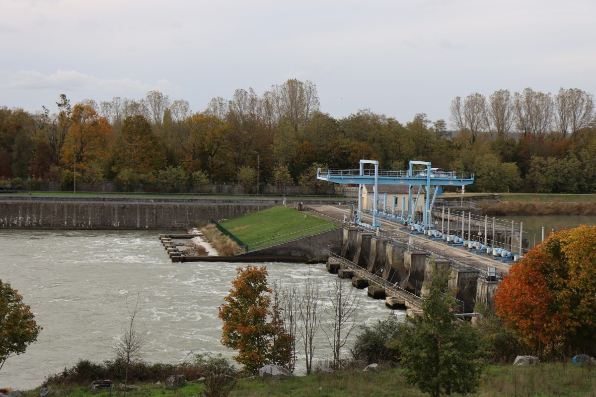 Antiquaire à Meyzieu