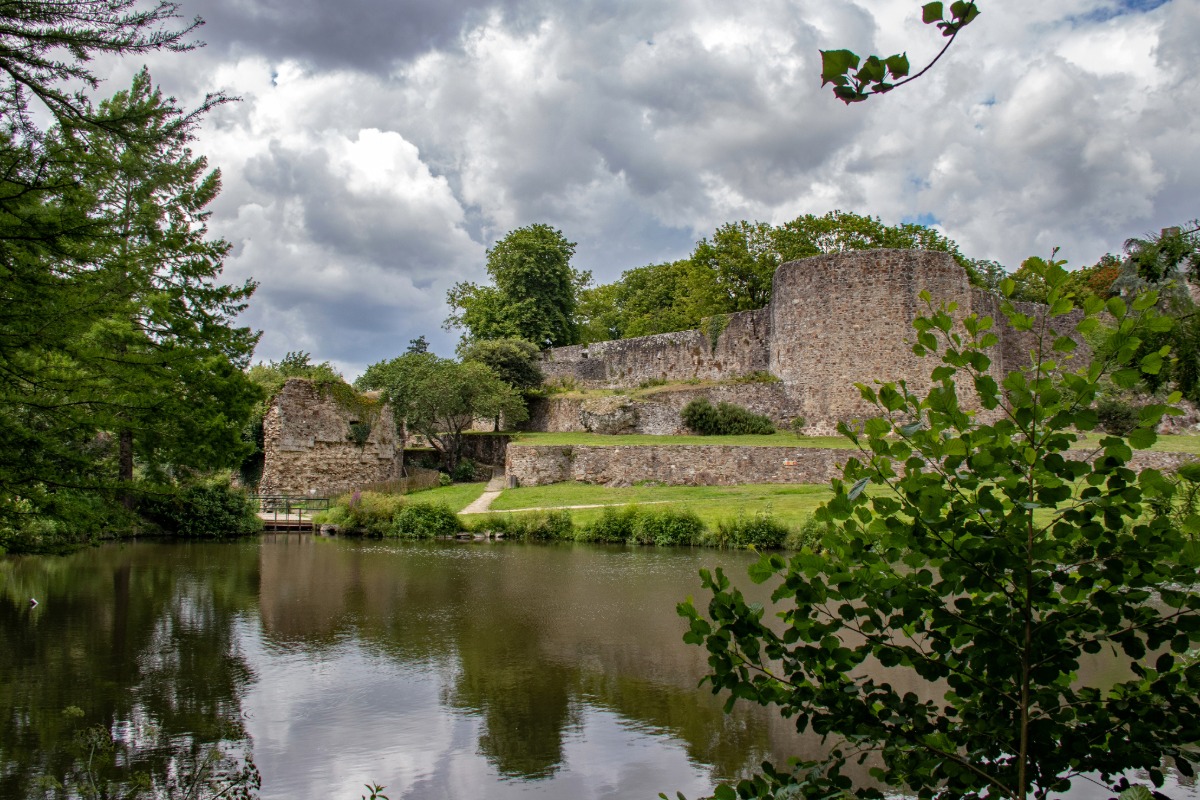 Antiquaire à Montaigu-Vendée