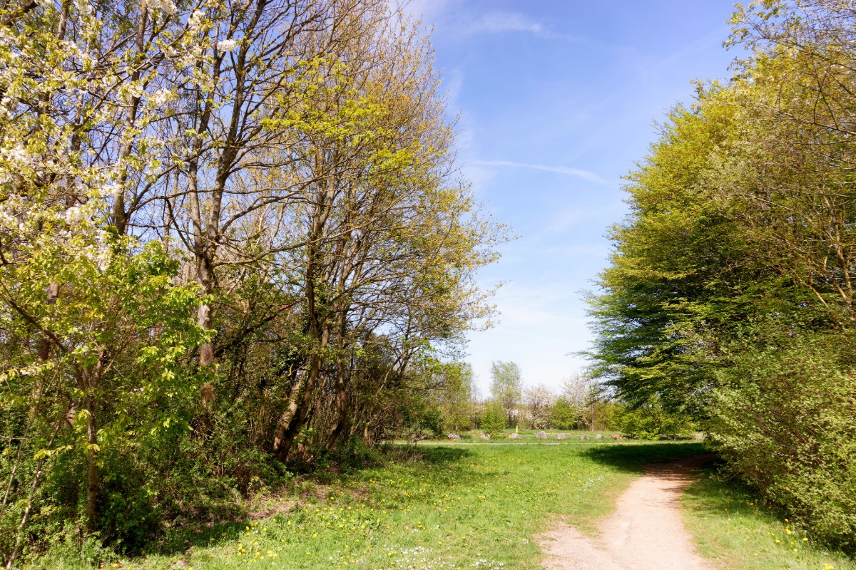 Antiquaire à Palaiseau