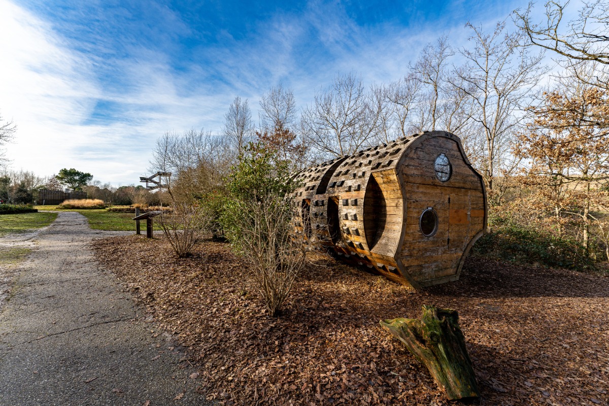 Antiquaire à Pessac