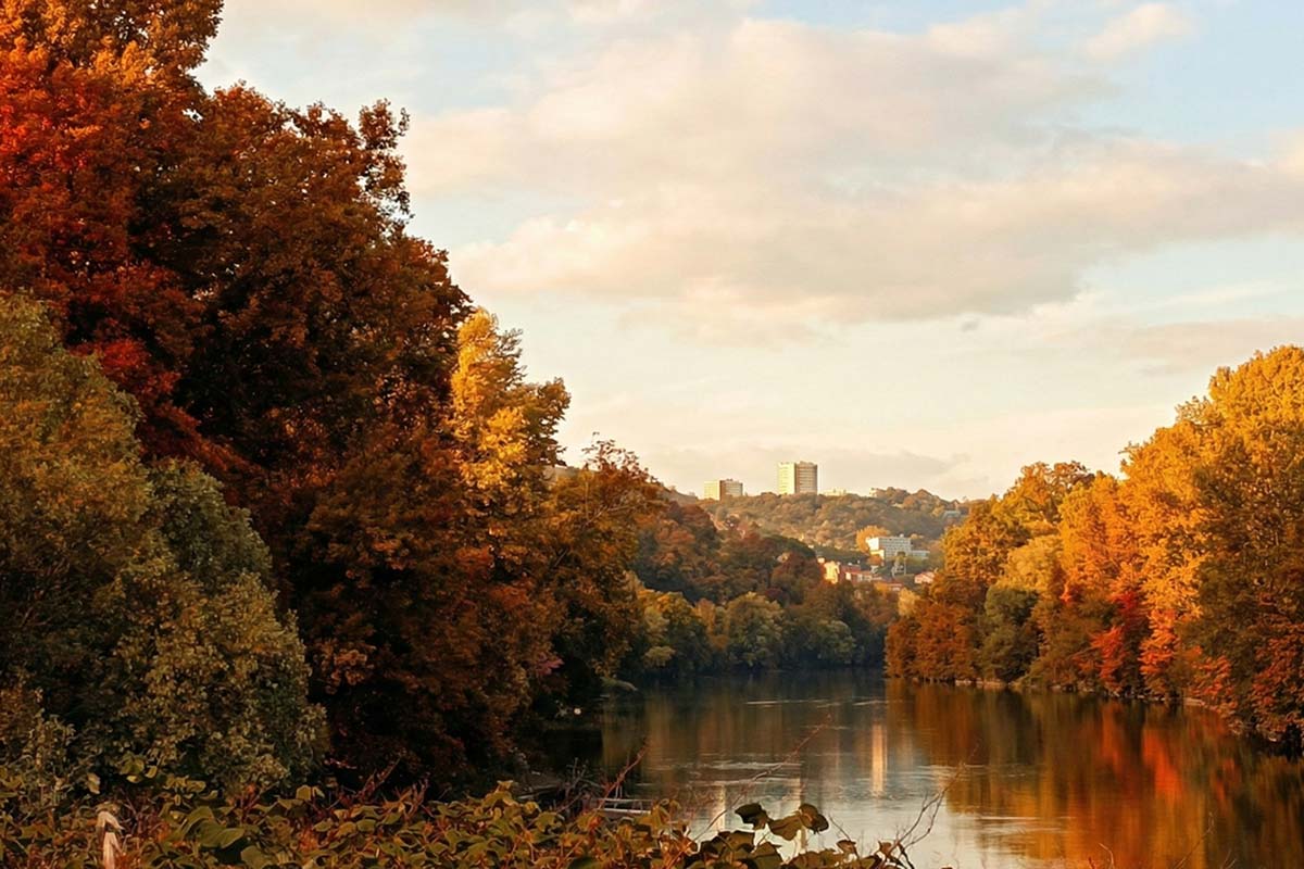Antiquaire à Rillieux-la-Pape