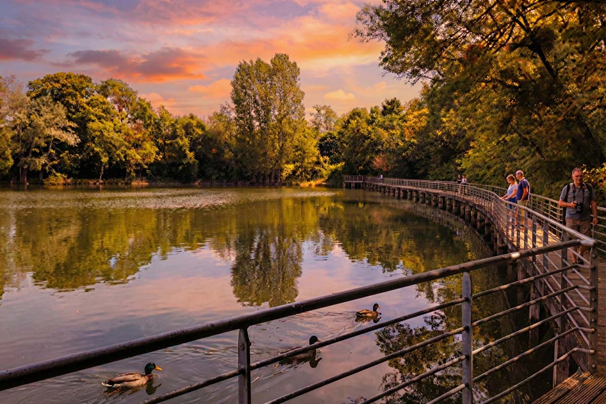 Antiquaire à Ris-Orangis