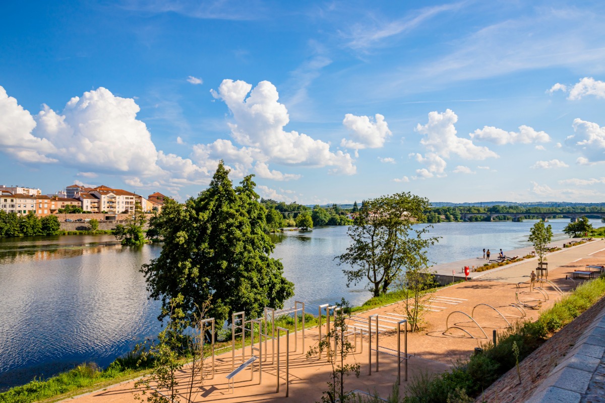 Antiquaire à Roanne