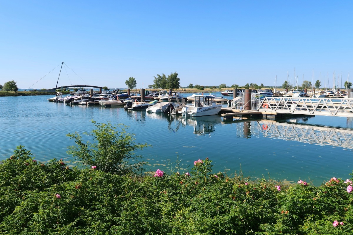 Antiquaire à Saint-Dizier