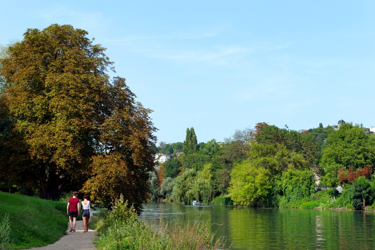 Antiquaire à Saint-Maur-des-Fossés