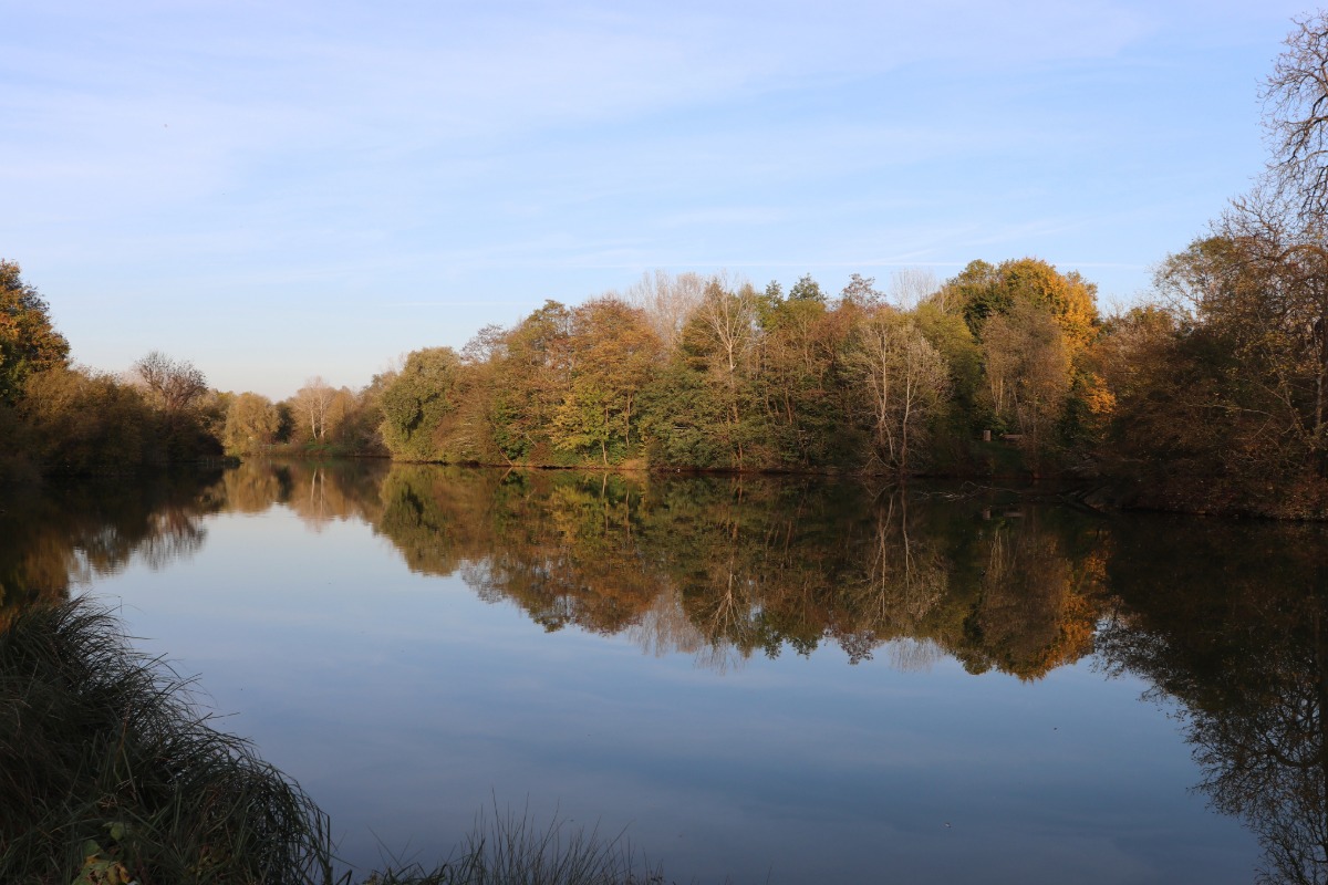 Antiquaire à Saint-Michel-sur-Orge