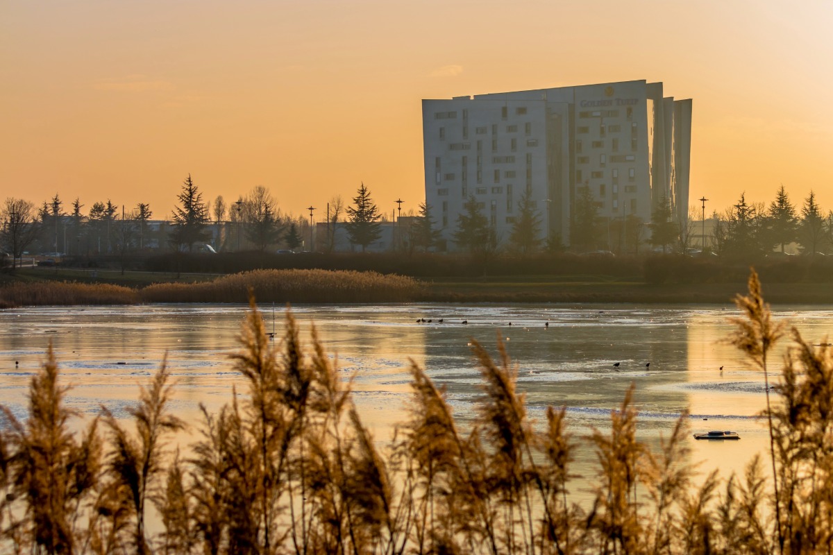 Antiquaire à Saint-Priest