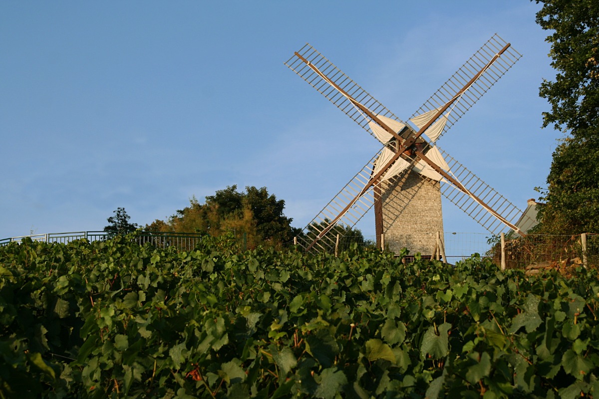 Antiquaire à Sannois