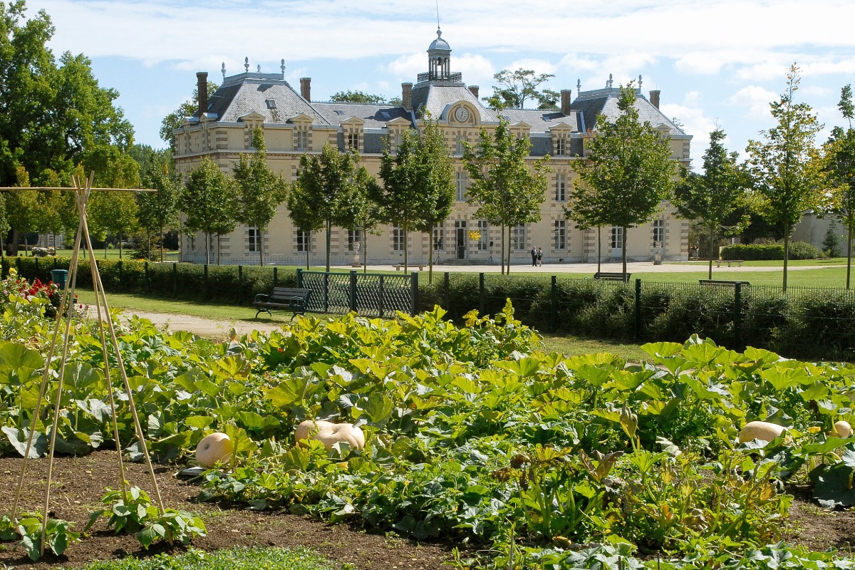 Antiquaire à Savigny-le-Temple