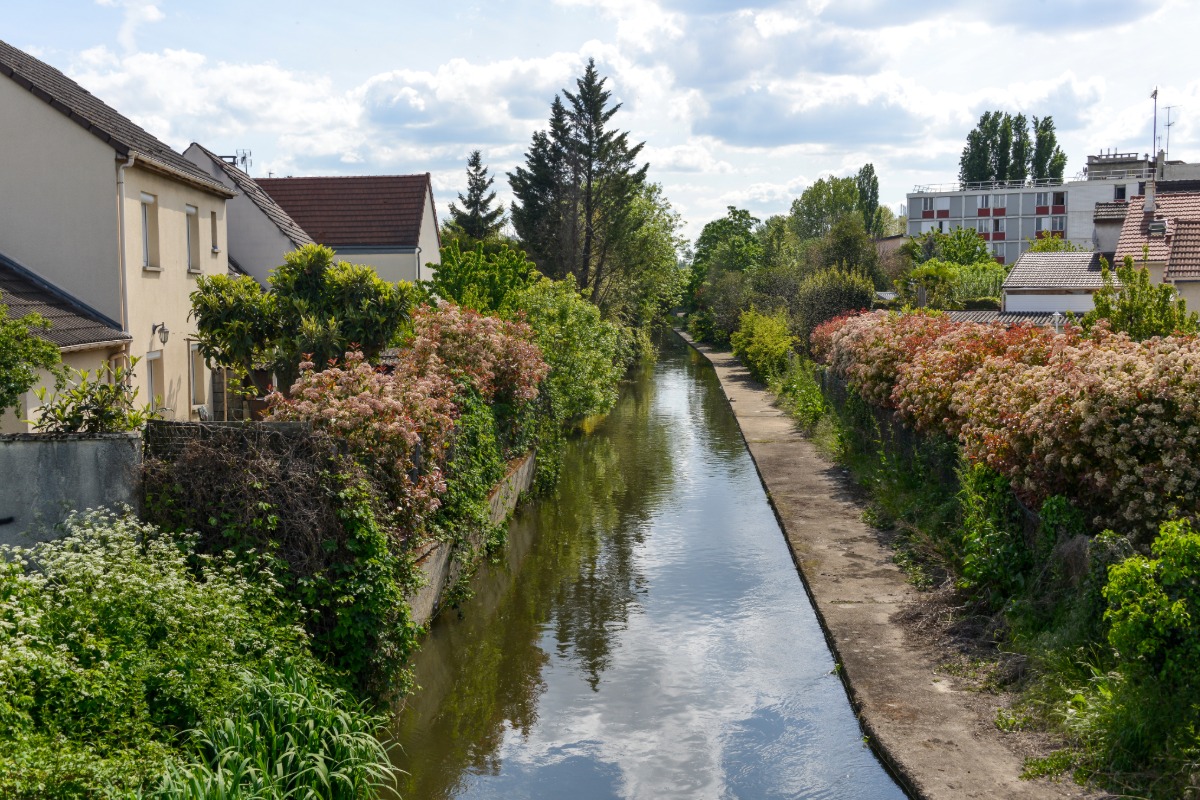Antiquaire à Savigny-sur-Orge