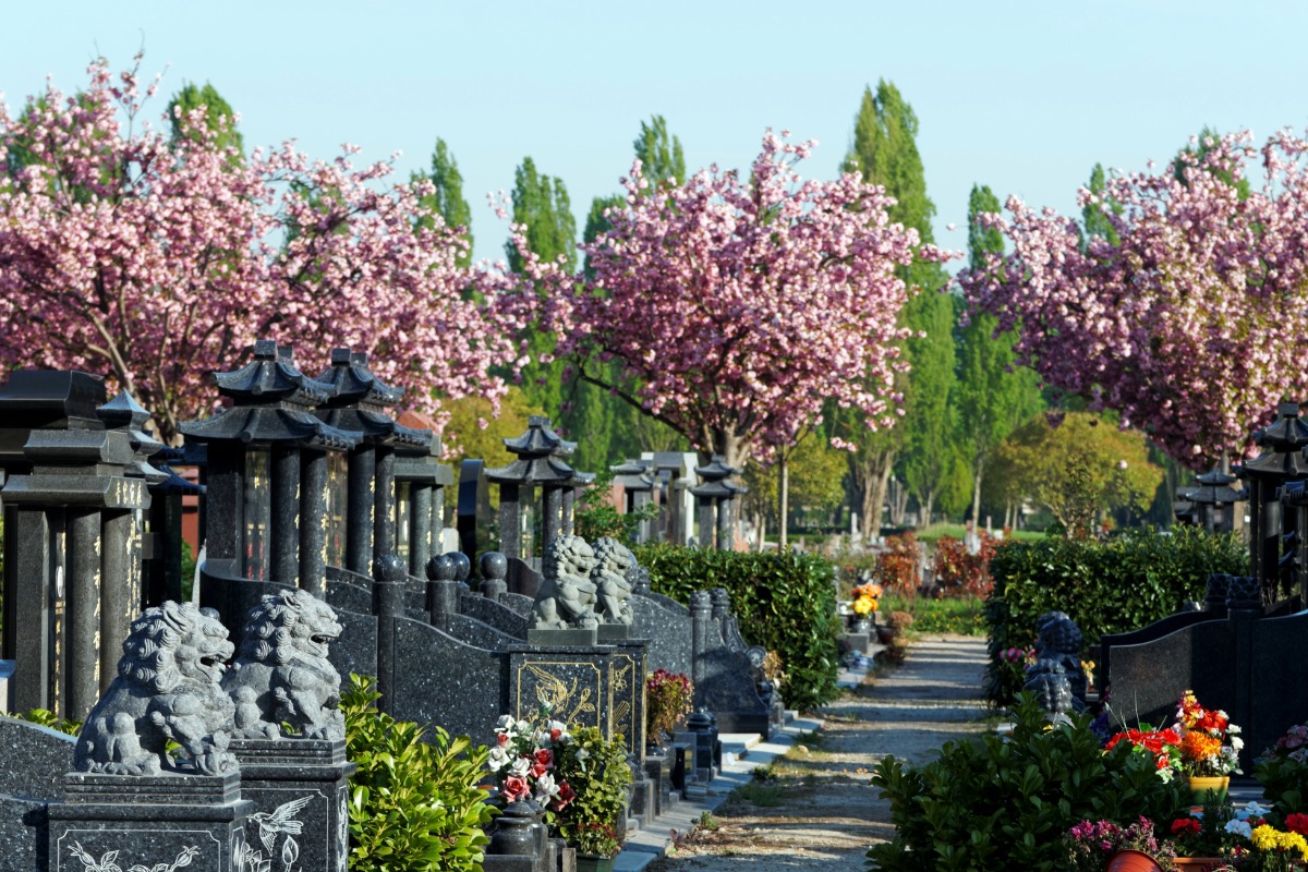 Antiquaire à Thiais