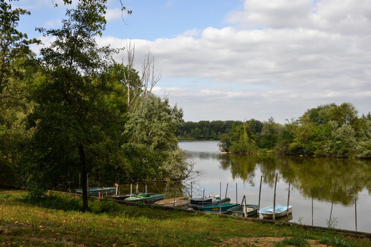 Antiquaire à Vigneux-sur-Seine