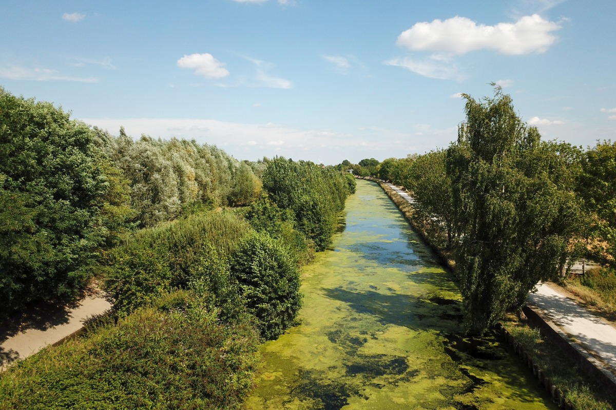 Antiquaire à Wasquehal