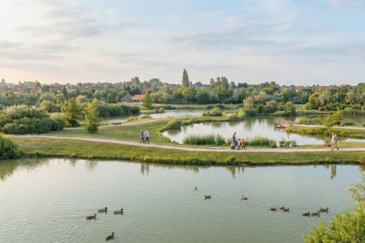 Antiquaire à Wattrelos